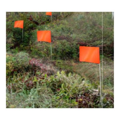 Marking Flags
